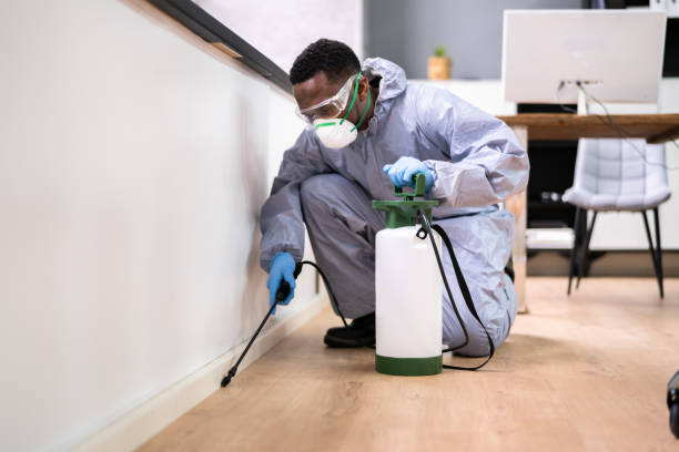 Best Residential Pest Control  in Willoughby Hills, OH